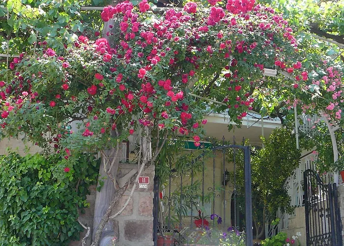 Hotel Elvan Cave House