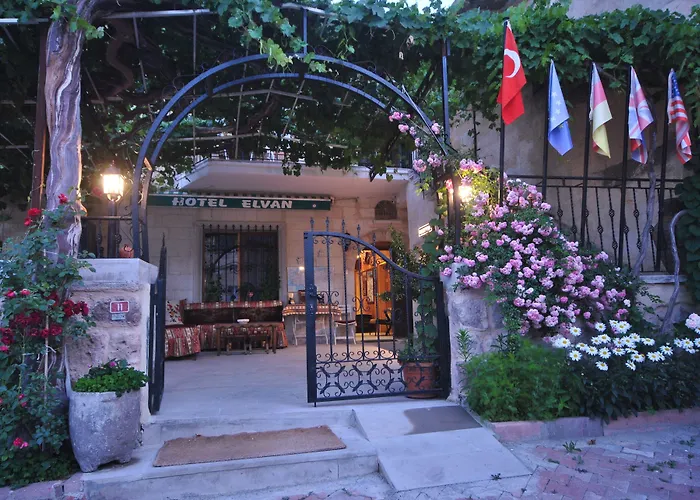 Elvan Cave House 3* Ургуп